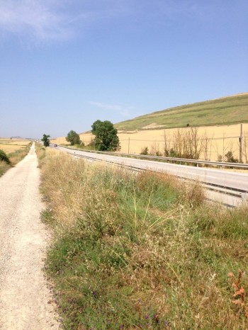 path-beside-road
